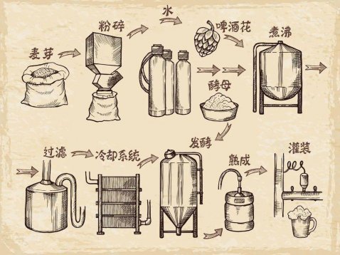 關(guān)于啤酒的知識(shí)，看這一文就夠了